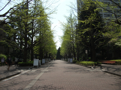 aoyama20190419-04.jpg