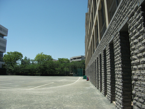 atomi20190508-03.jpg