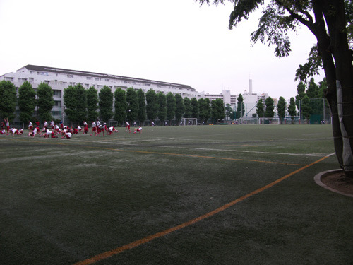 hongo20170509-02.jpg