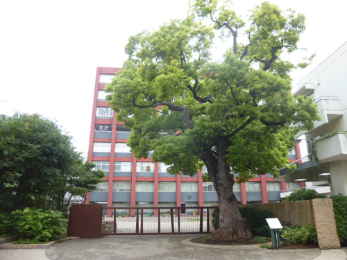 kaijo20150618-01.jpg