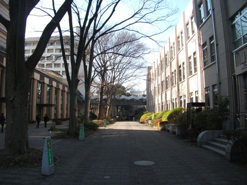 musashi20170216-05.jpg