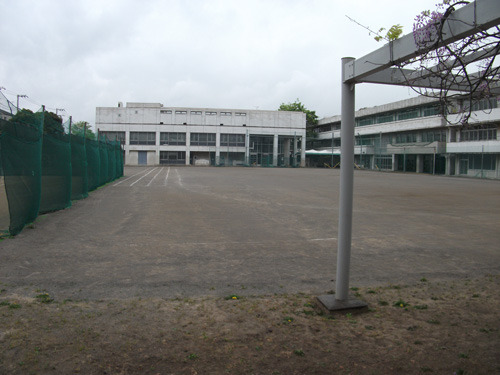 ohyu20190424-03.jpg