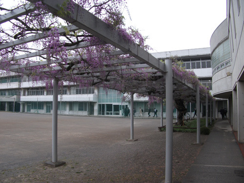 ohyu20190424-04.jpg