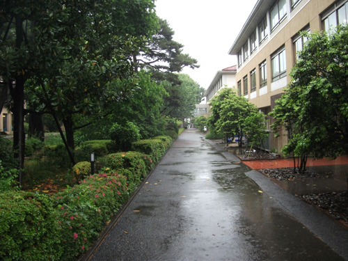 rikkyojogakuin20190521-03.jpg