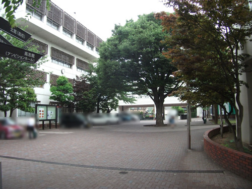semmatsu20170608-02.jpg