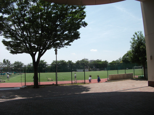 semmatsu20190606-02.jpg