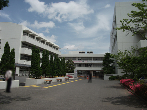 shibakashi0180525-02.jpg