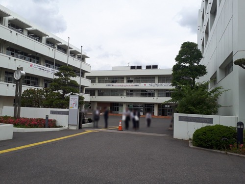 shibakashi20190531-02.jpg