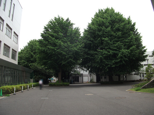 tohodaitoho20170622-02.jpg