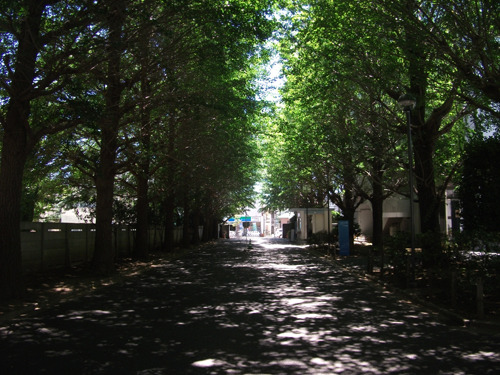tohodaitoho20190701-02.jpg